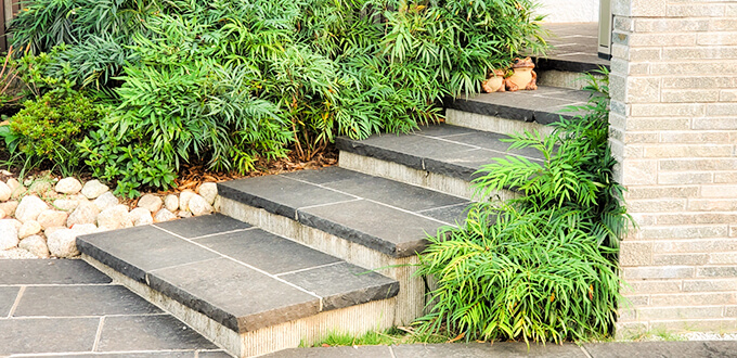 プライバシーポリシー